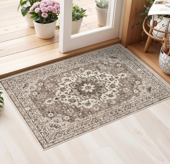 Washable Oriental 2X3 Area Rug