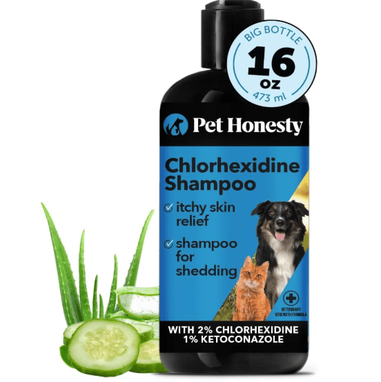 Pet chlorhexidine shampoo, itch relief, helps shedding, hot spots etc