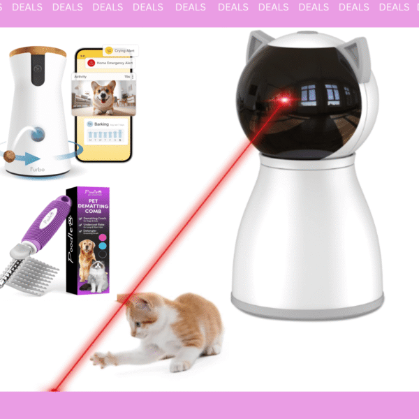 Pet supplies amazon spring deals