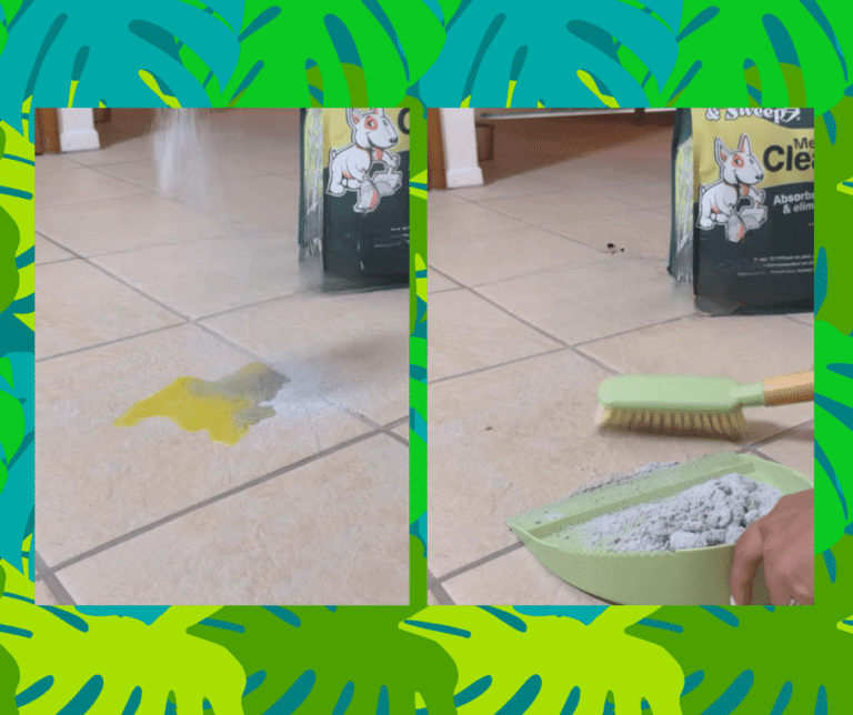 Pet cleaner