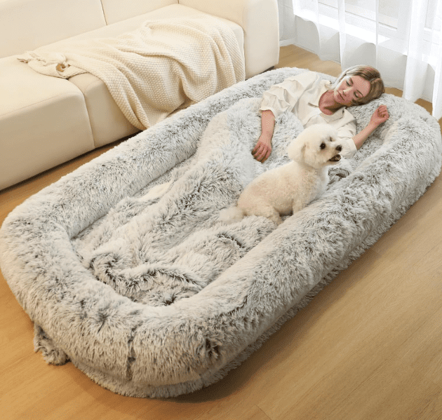Dog bed