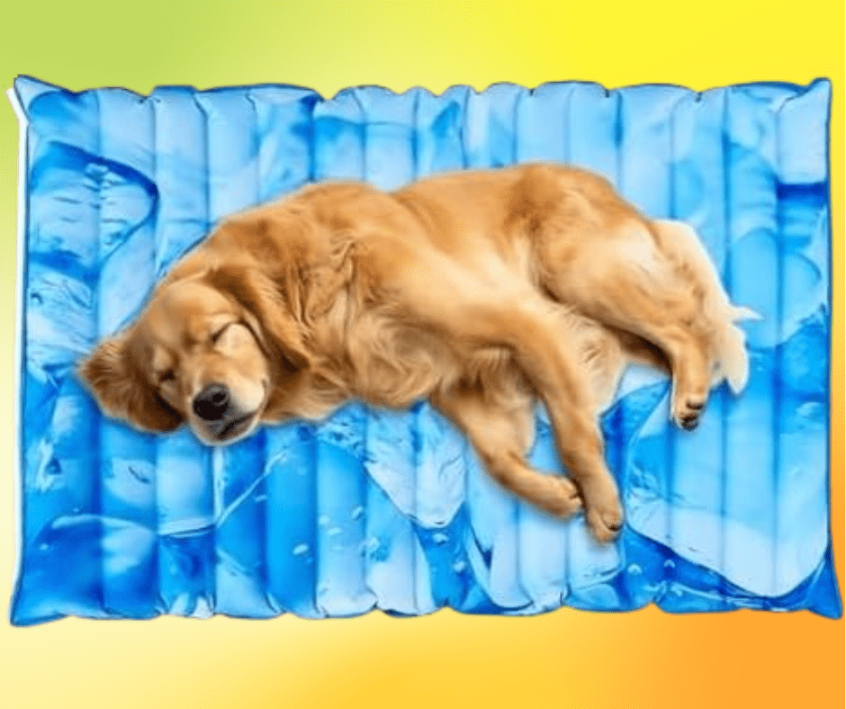 Dog cooling bed (1)