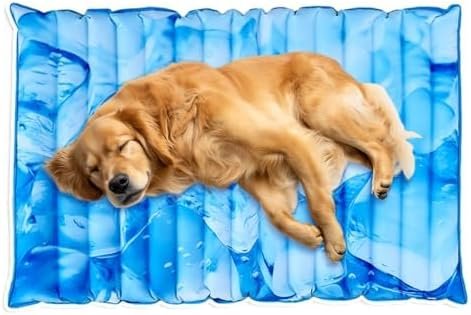 dog cooling bed2 Dog cooling bed2