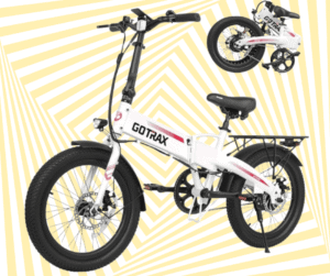E bike