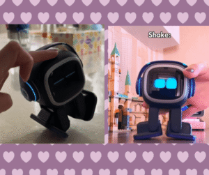 Pet robot