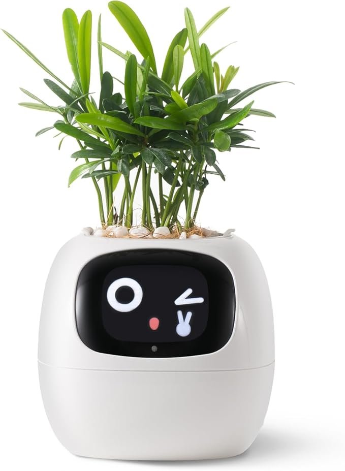 Smart planter ivy