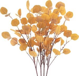 Autumn eucalyptus branches