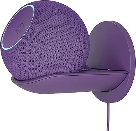 Amazon echo dot max wiht wall mount
