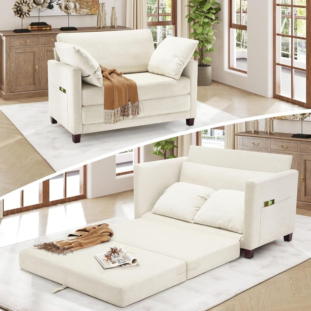 Loveseat sleeper sofa bed
