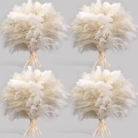 White pampas grass stems, 40 pcs