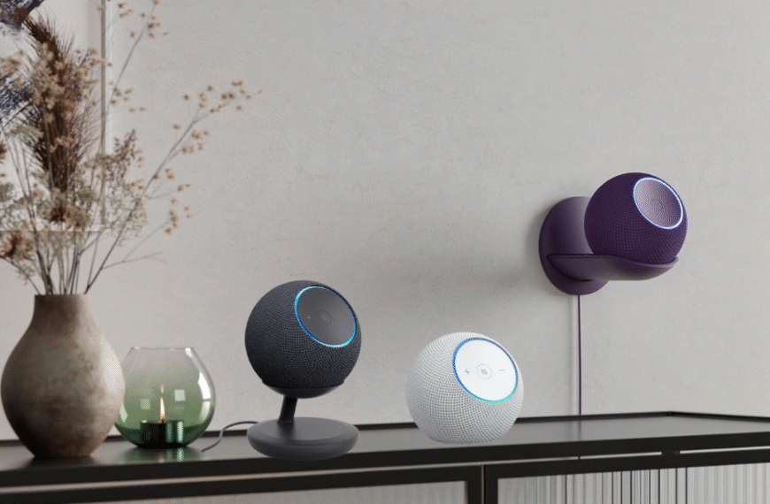 Echo dot max article