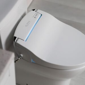 Alpha bidet toilet seat, endless warm water, led, wireless remote, wash & dry (elongated or round seat)