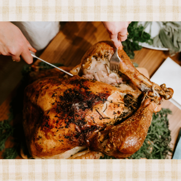 Turkey brine bag articl