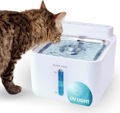 UV cat water fountain UV Cat Water Fountain