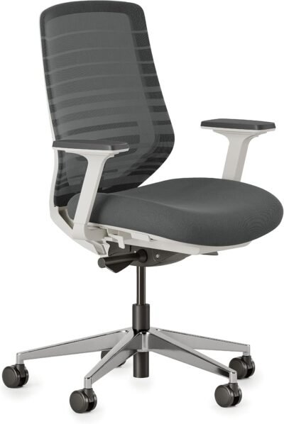 Branch Ergonomic Chair with Breathable Mesh Back