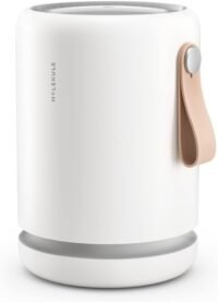 Molekule Air Mini+ compact air purifier