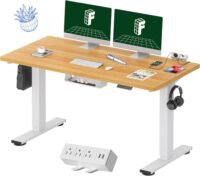 FlexiSpot Electric Standing Desk Workstation