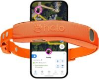 Wireless Dog Fence & GPS Dog Collar, App-Controlled & Real-Time Tracking