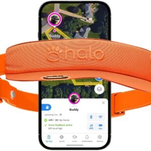 Wireless Dog Fence & GPS Dog Collar, App-Controlled & Real-Time Tracking