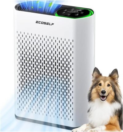 Air purifier for large room, True HEPA, 360 Airflow, Real Time Air Quality