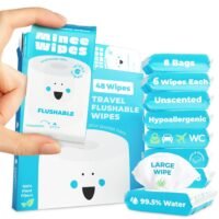 Travel flushable wipes