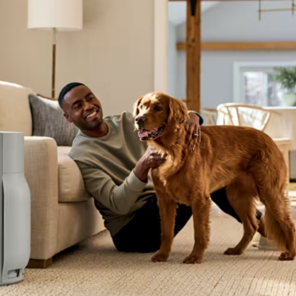 7 Smart Air Purifiers That Actually Erase Dust, Pet Odors, and Smoke (Without Constant Filter Change Cost)