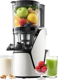 EanOruus Juicer 3 in 1 cold press juice, nut milk and sorbet