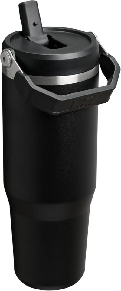 Stanley IceFlow 2.0 flip straw tumbler with handle