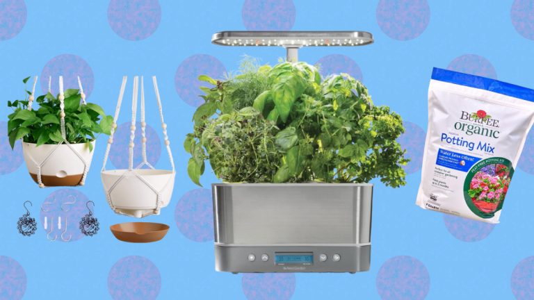 7 Things for People Who Want to Garden But Only Have a Balcony