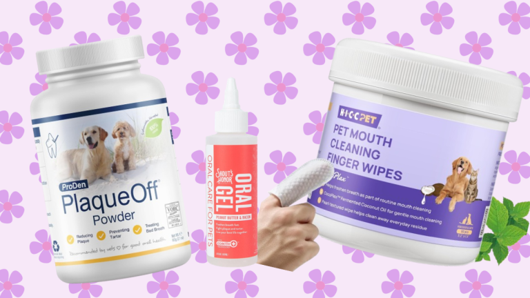 6 Easy Cleansers for Pets Who Won’t Let You Brush Their Teeth