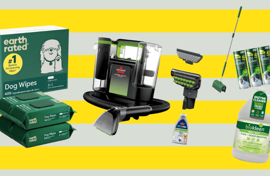 11 Cleaning Products Every Pet Owner Needs to Keep Their Home Fresh